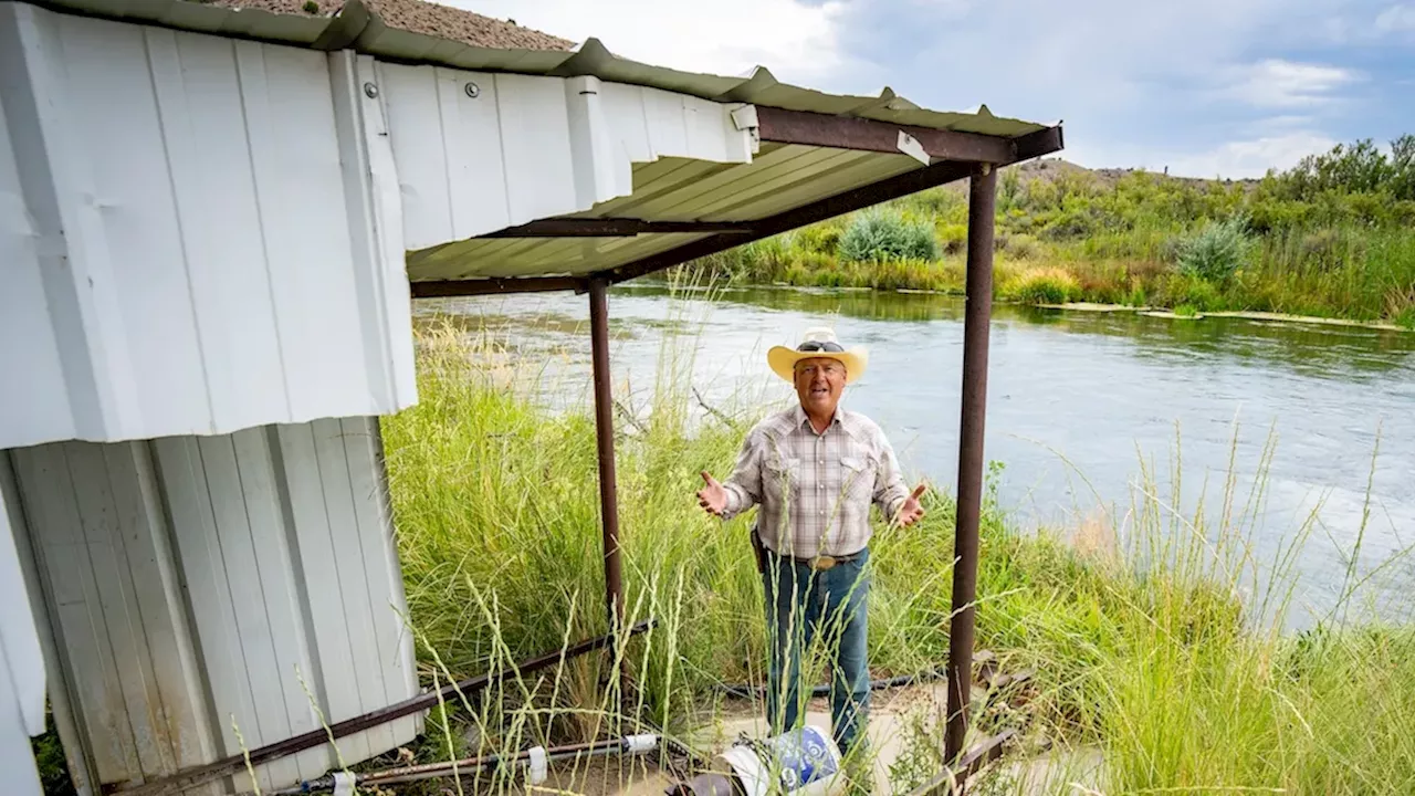 Utah Ranch Sacrifices Alfalfa for River's Sake in Push for Conservation Credits