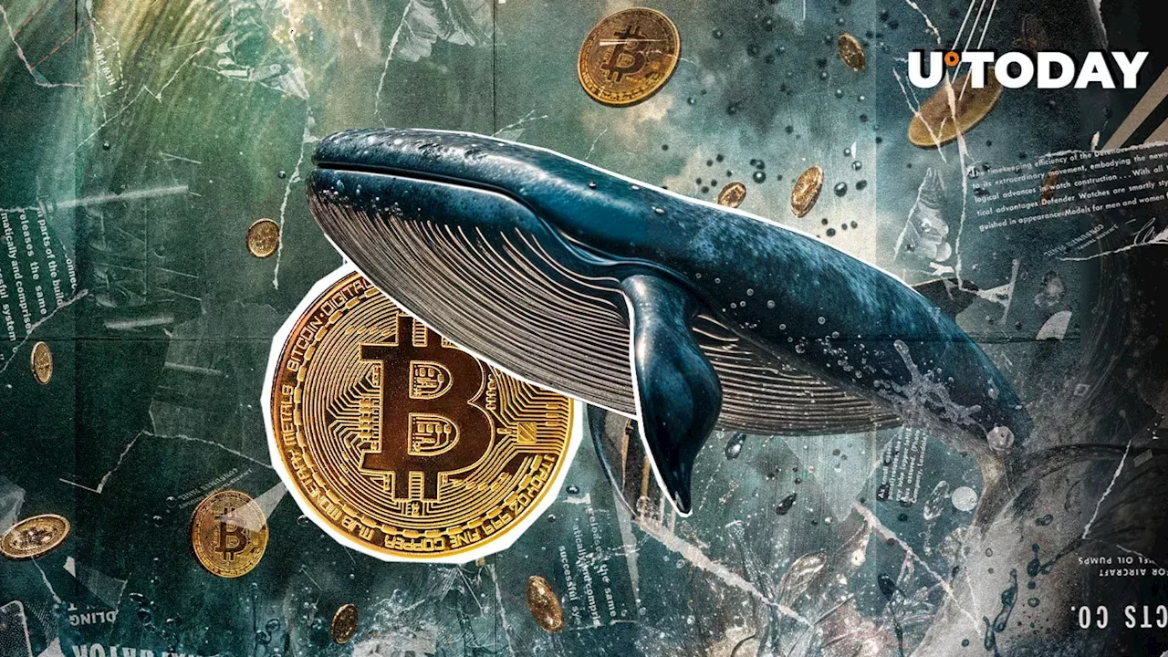 2011 Bitcoin Wallet Resurfaces, Sparking Wave of Dormant Coin Transfers