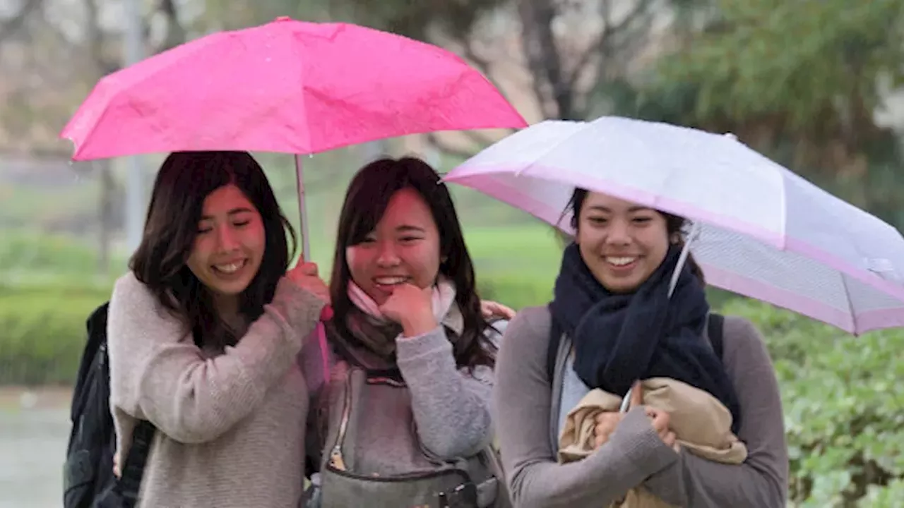 Cal State's Plan to Ditch TOEFL: A Move for Equity or a Policy Dead End?