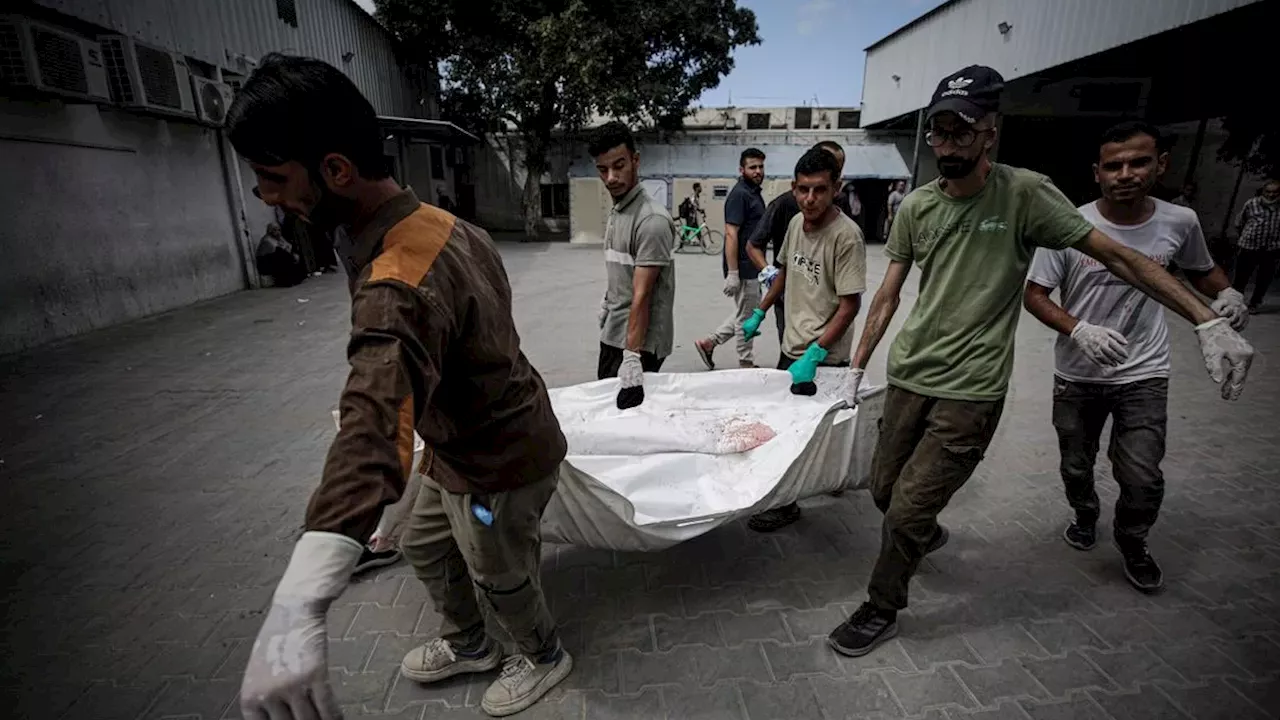 Israeli Airstrikes in Gaza Result in Eight Deaths Amid Ceasefire Violations