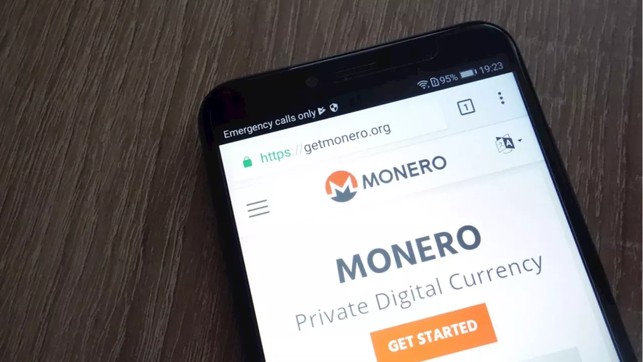 Monero's Privacy Leap: Testing the FCMP++ and CARROT Upgrades