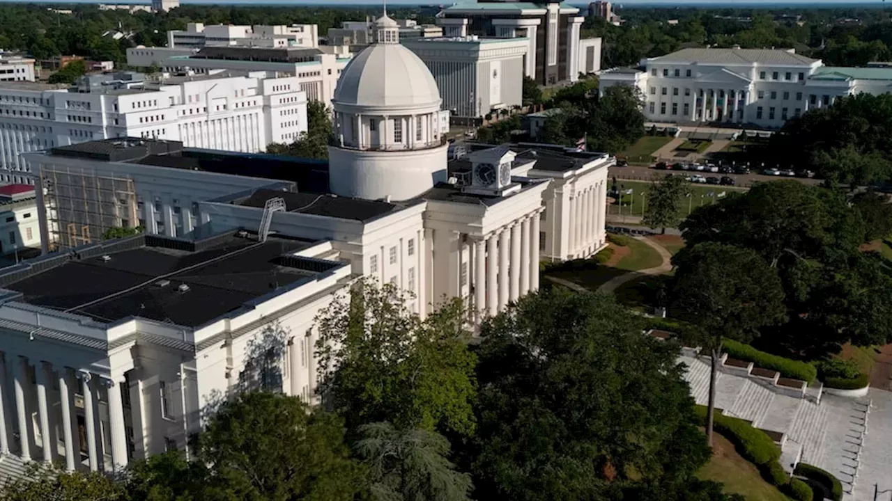 Survivors Rise: A 50-State Surge for Domestic Violence Reform