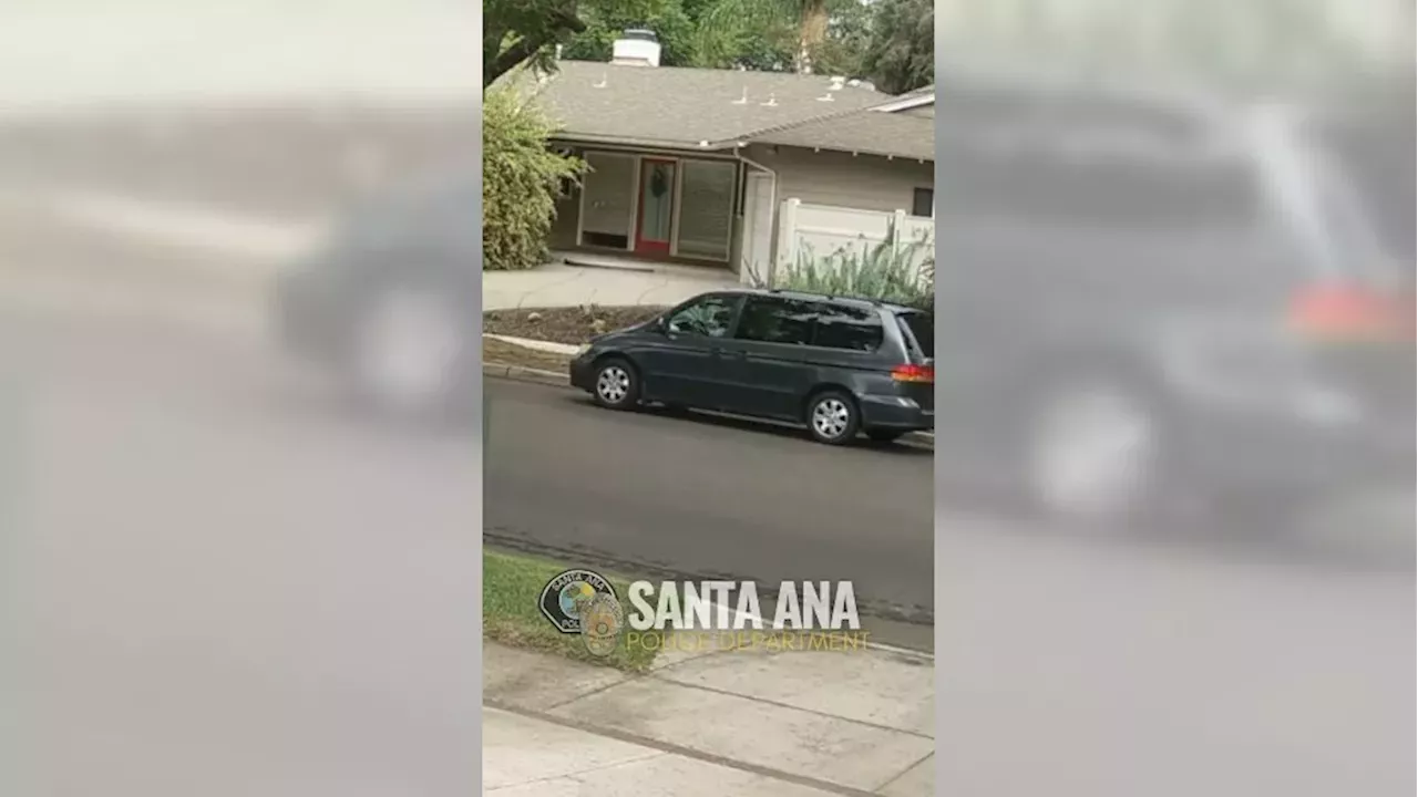 Santa Ana Police Hunt Driver After Chilling Puppy Cruelty Video