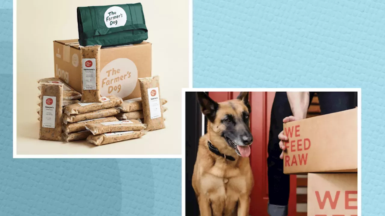 Beyond the Kibble: The Real Value of Vet-Approved Dog Food Subscriptions