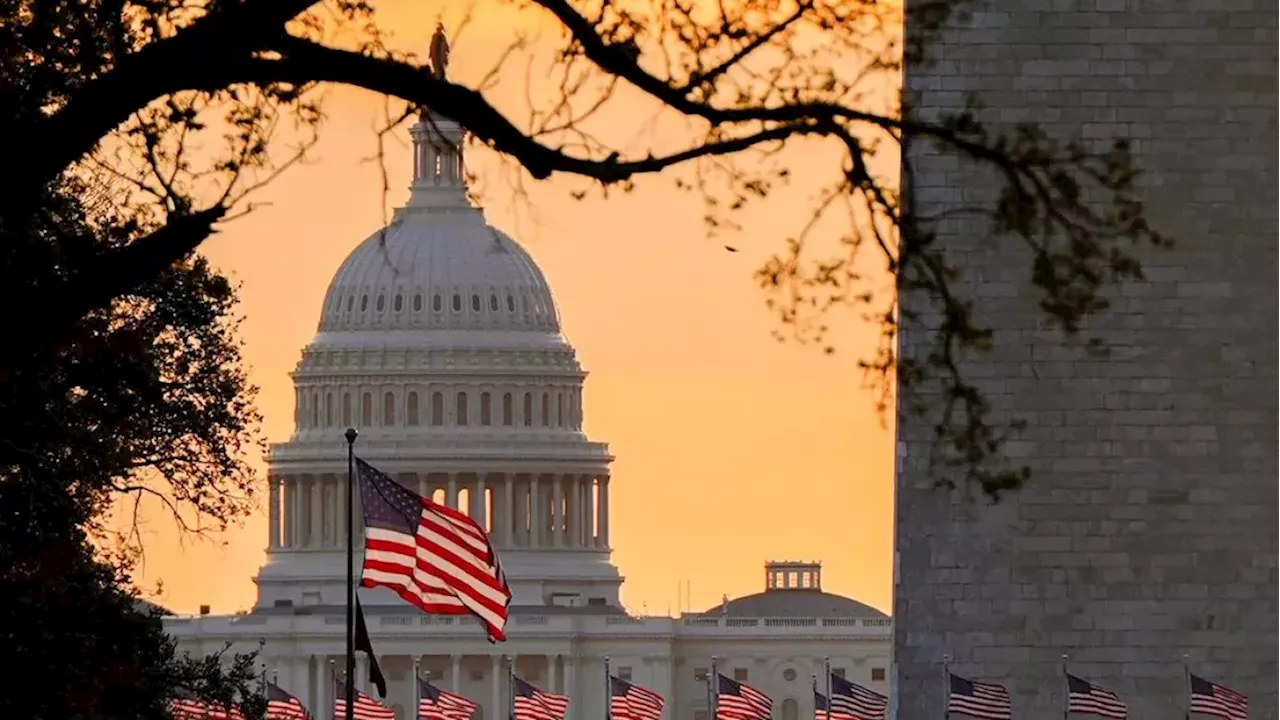 The Democracy Paradox: High Election Confidence Meets Deep Leader Distrust