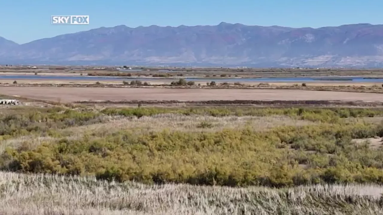 The Battle for 950 Acres: Can Salt Lake City Protect Its Shrinking Wetlands?