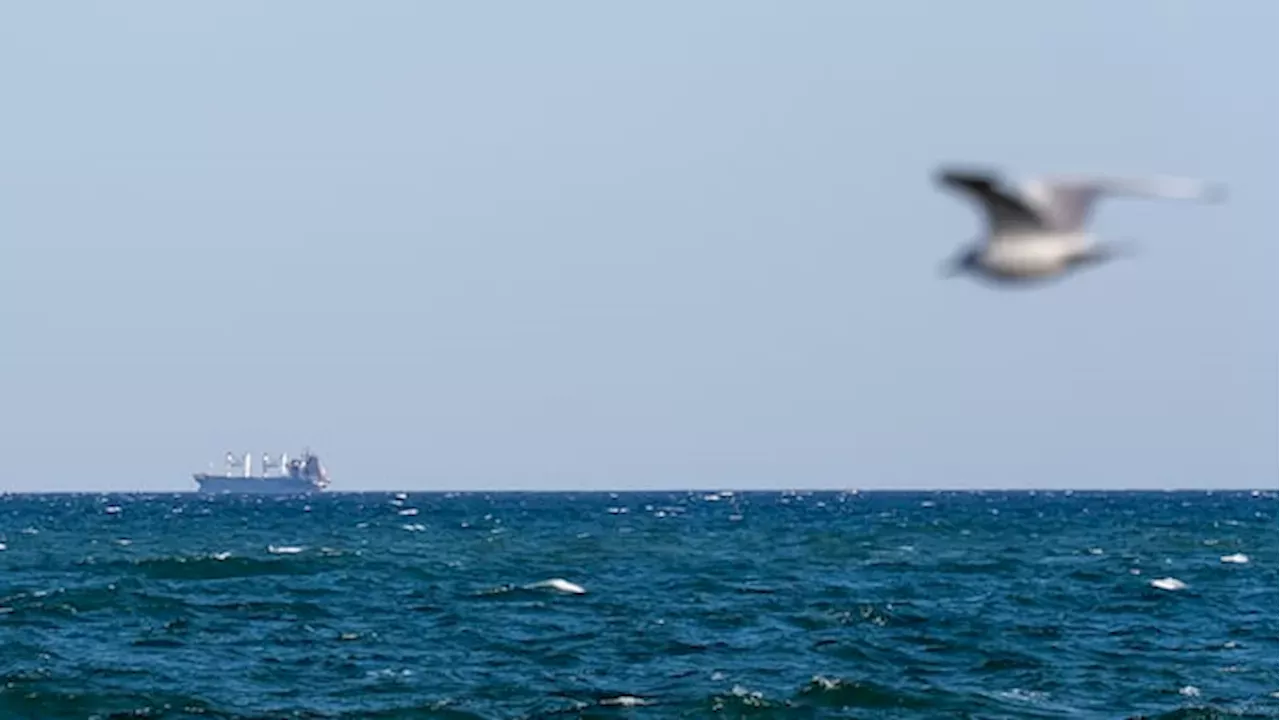 Black Sea Grain War: How Maritime 'Hunting' is Starving Global Markets
