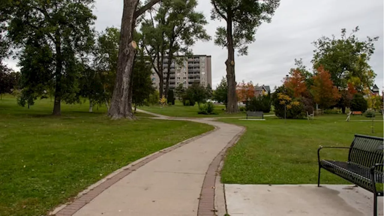 Red River Ward Election: Three Divergent Paths for Thunder Bay