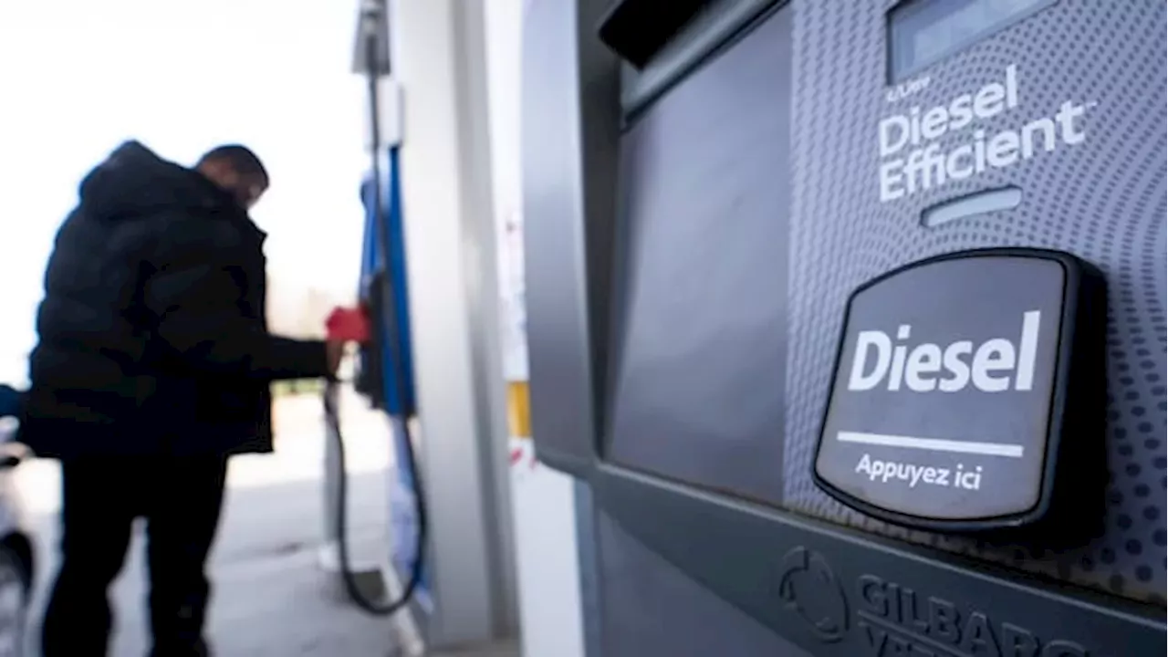 G7's 100 Million Barrel Oil Release: A Strategic Move Ahead of U.S. Midterms