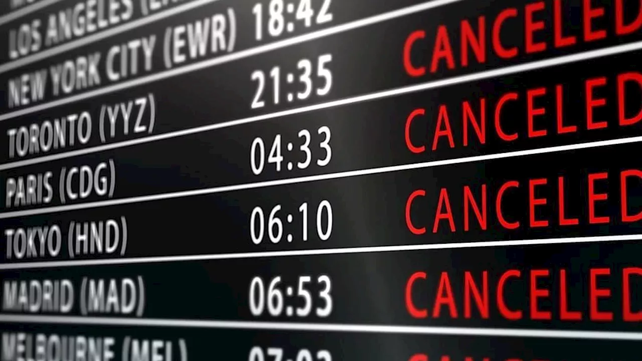The 2026 Flight Crisis: Why New York Hubs and FAA Glitches Grounded US Travel