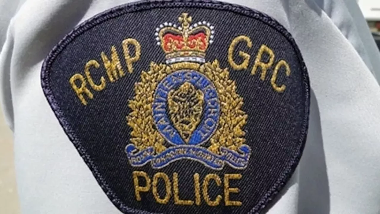 Forged Papers, Stolen SUVs: The RCMP's Cross-Province Crackdown in Calgary