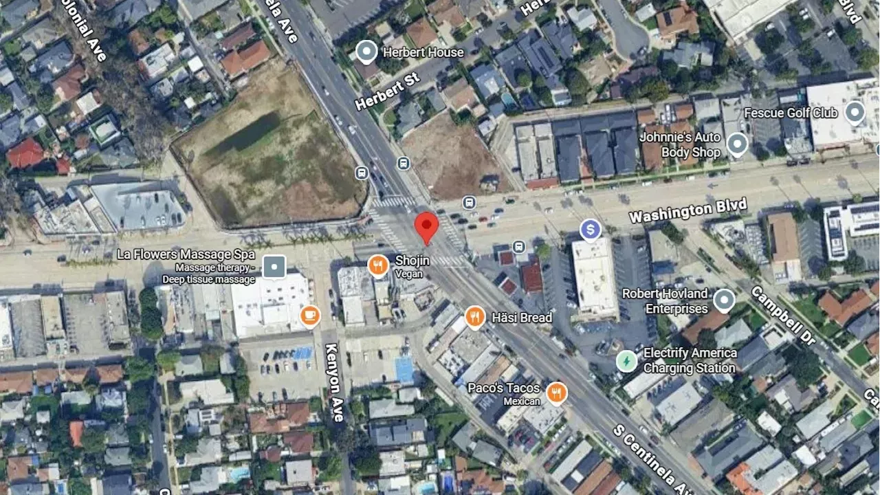 Tragedy in Mar Vista: Culver CityBus Halts Service After Driver's Murder