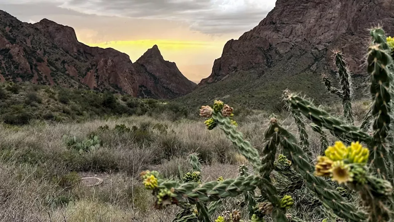 Judicial Brake: Federal Court Halts Trump Border Wall in Big Bend