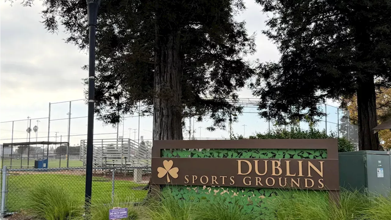Family Feud Turns Fatal: 77-Year-Old Couple Charged in Dublin Park Murder