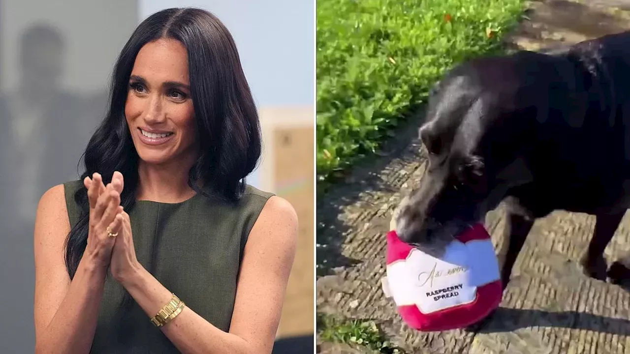 Beyond the Montecito Mansion: Meghan Markle Teases As Ever Pet Expansion