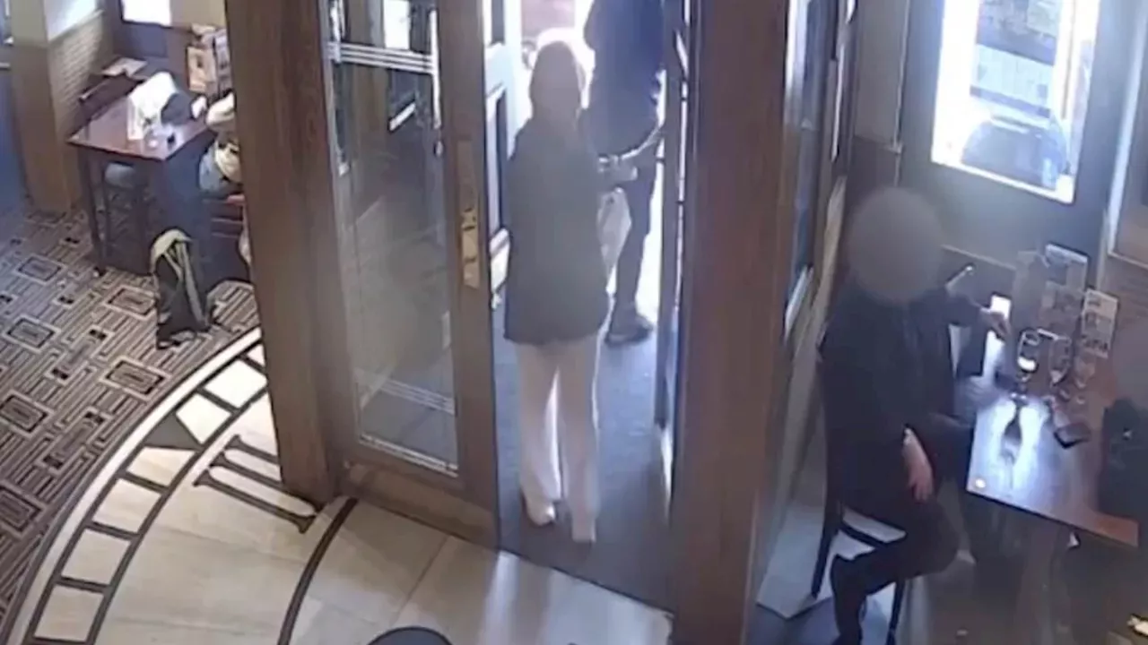The Watch Maker Footage: New Clues in the Rose Johnston Murder Case