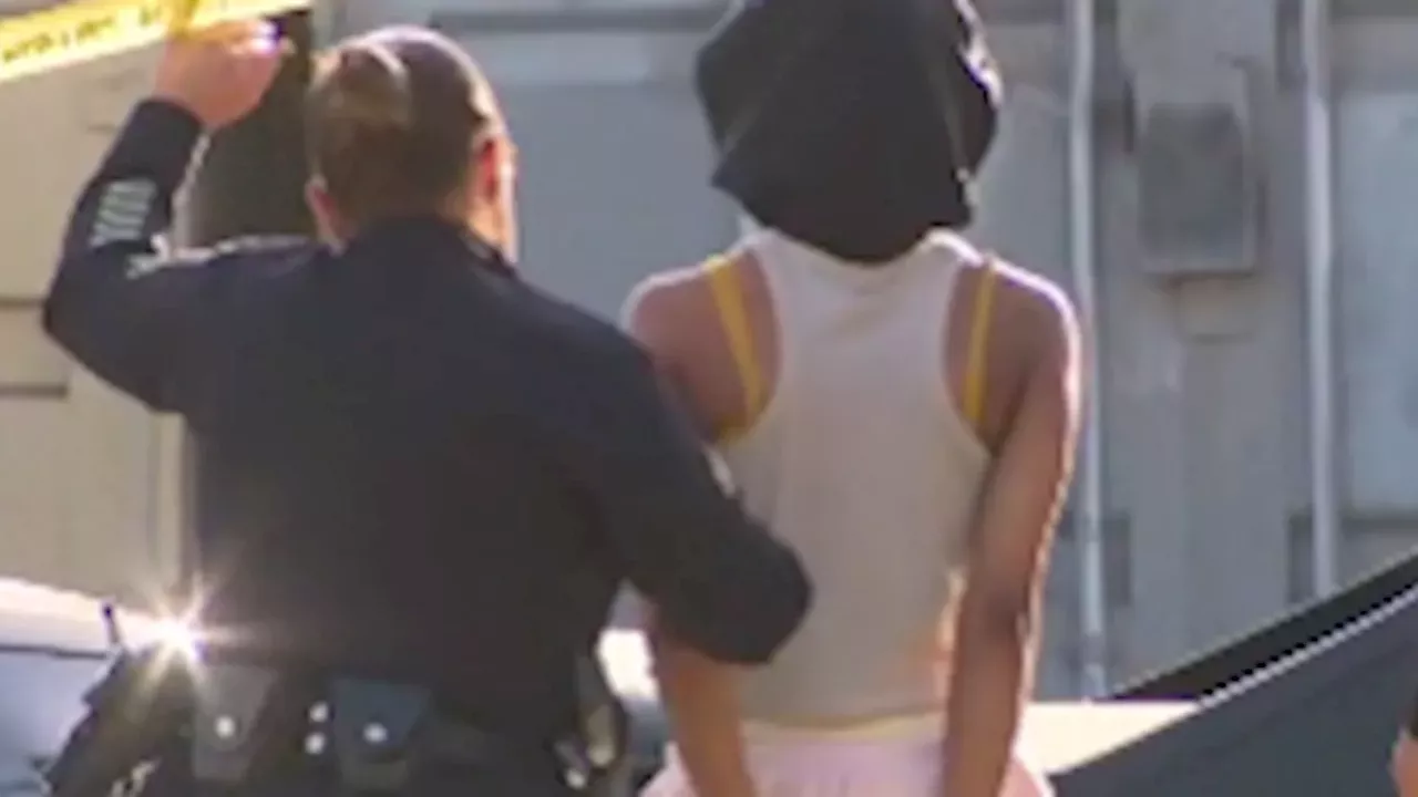 The $2 Million Bail and the Tragic Discovery on Alba Street