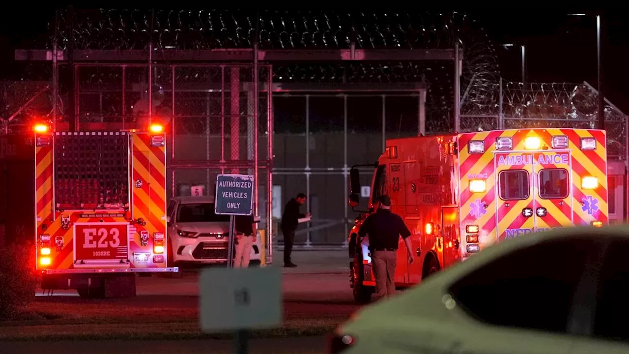 The Christa Pike Execution Failure: A Legal and Medical Crisis in Tennessee
