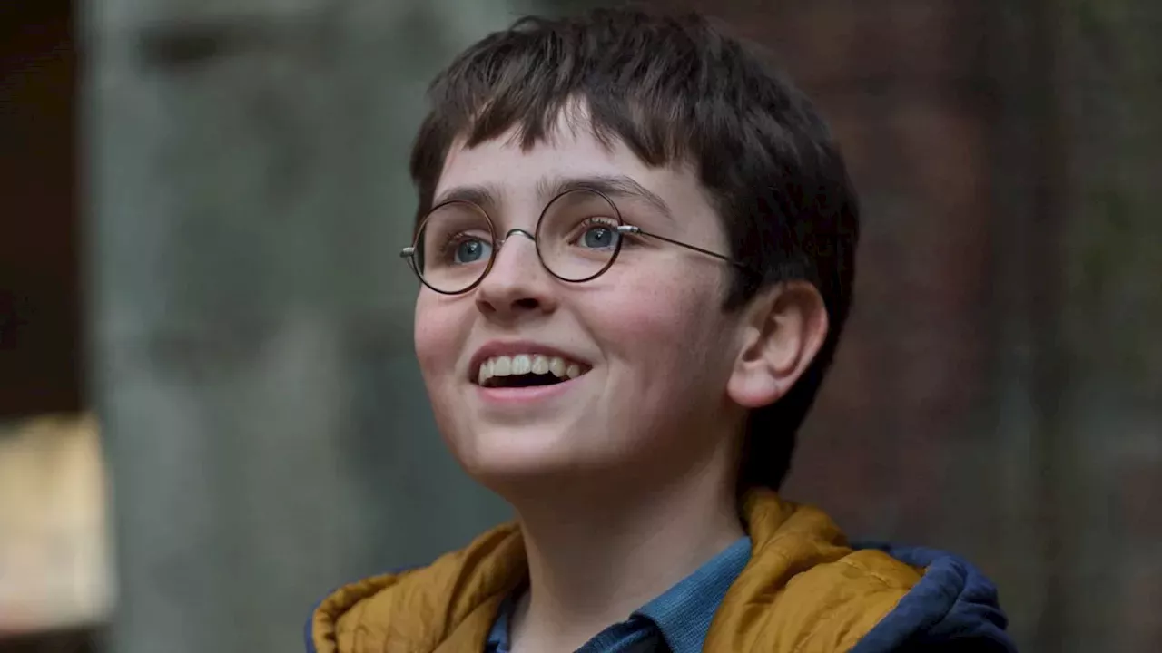 HBO's Harry Potter Gamble: Can a TV Series Outshine the $7.7B Movie Legacy?