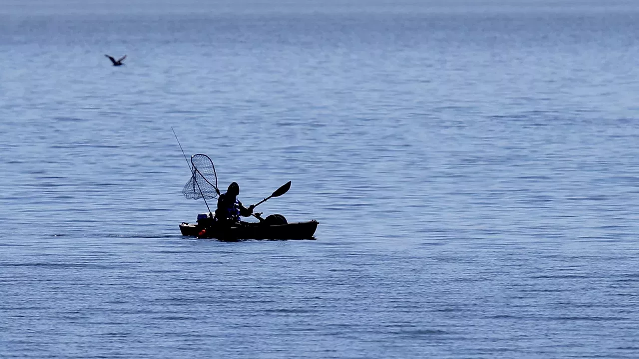 Mako Shark Bite Off Malibu: When a Catch Becomes a Crisis