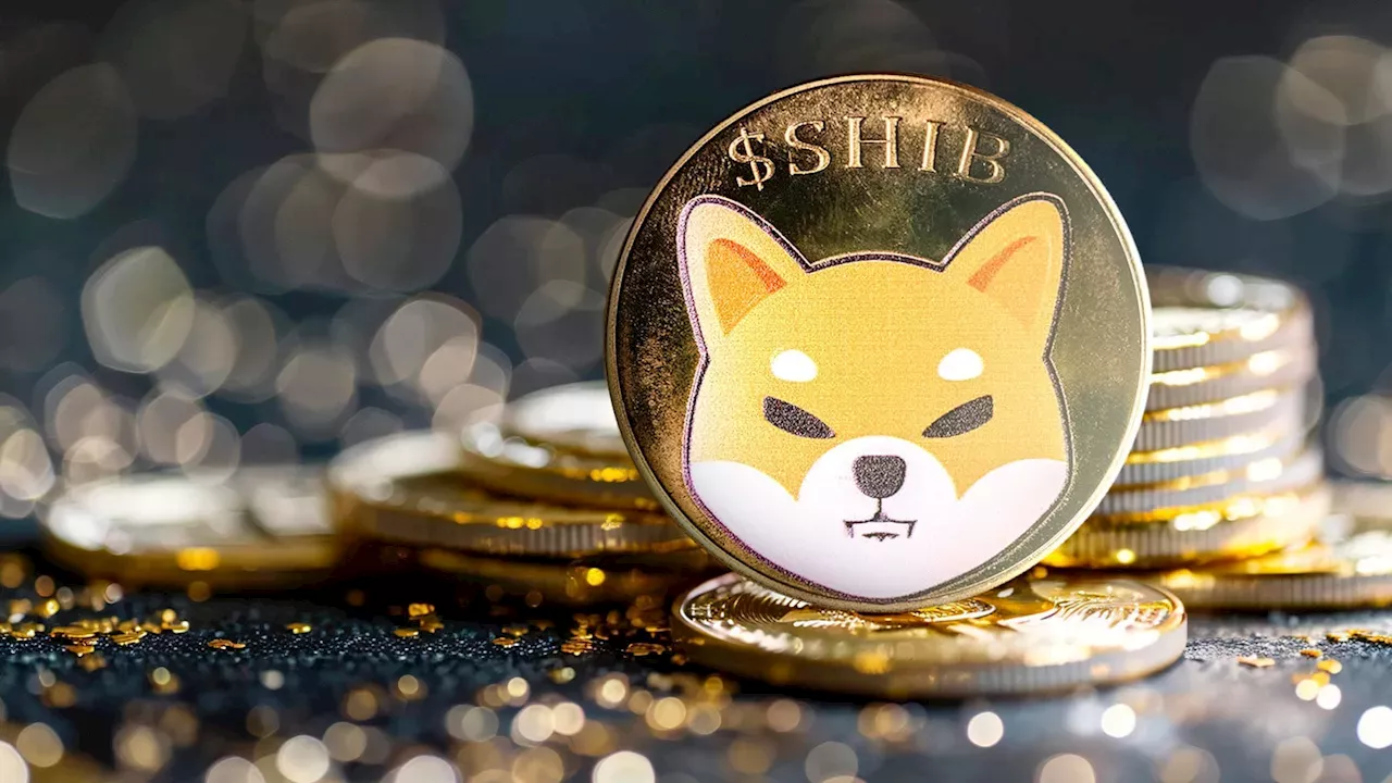 Shiba Inu's Solana Debut: Bridging the Meme-Coin Divide via Sunrise