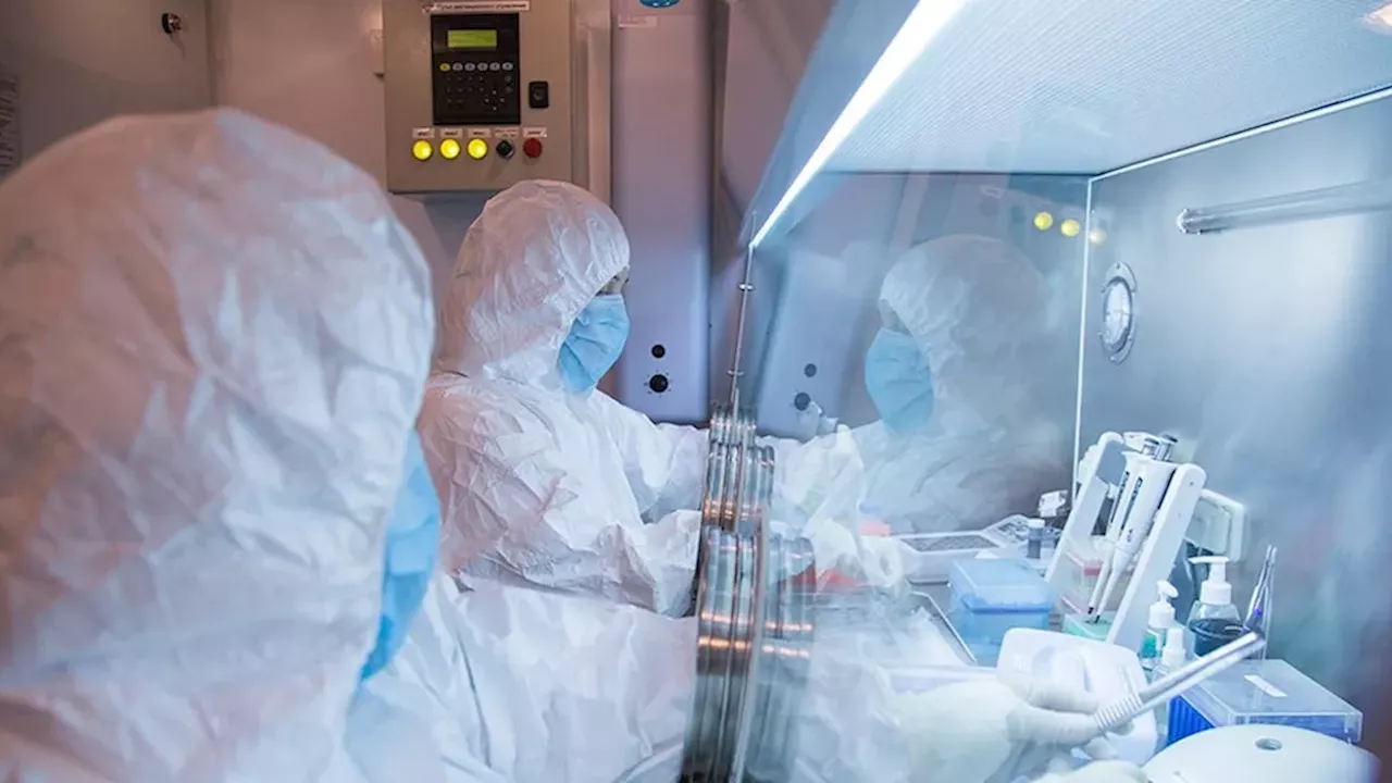Siberia's Plague Lab Death: Canada and US Track Potential Outbreak