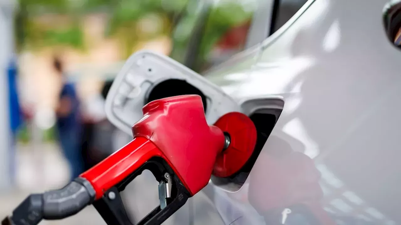Gas prices expected to rise 10 cents a litre before Thanksgiving despite G7 oil release