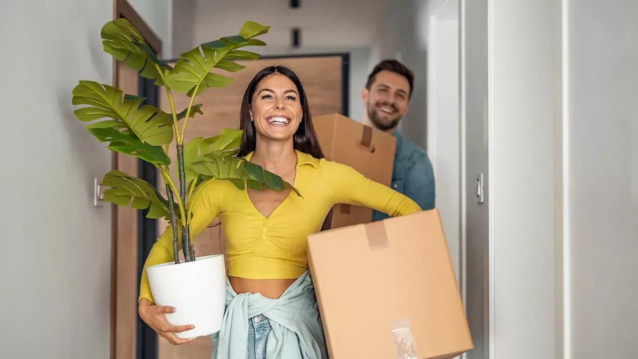 The 2.5% Deposit Gamble: Can 'Your First Home' Fix UK Housing?