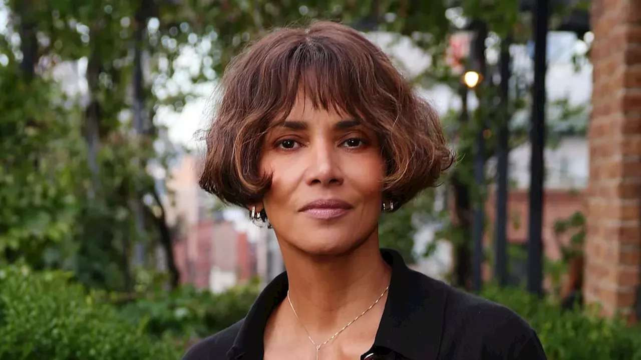 Halle Berry Battles Olivier Martinez for Custody Control and "Tie-Breaking" Authority
