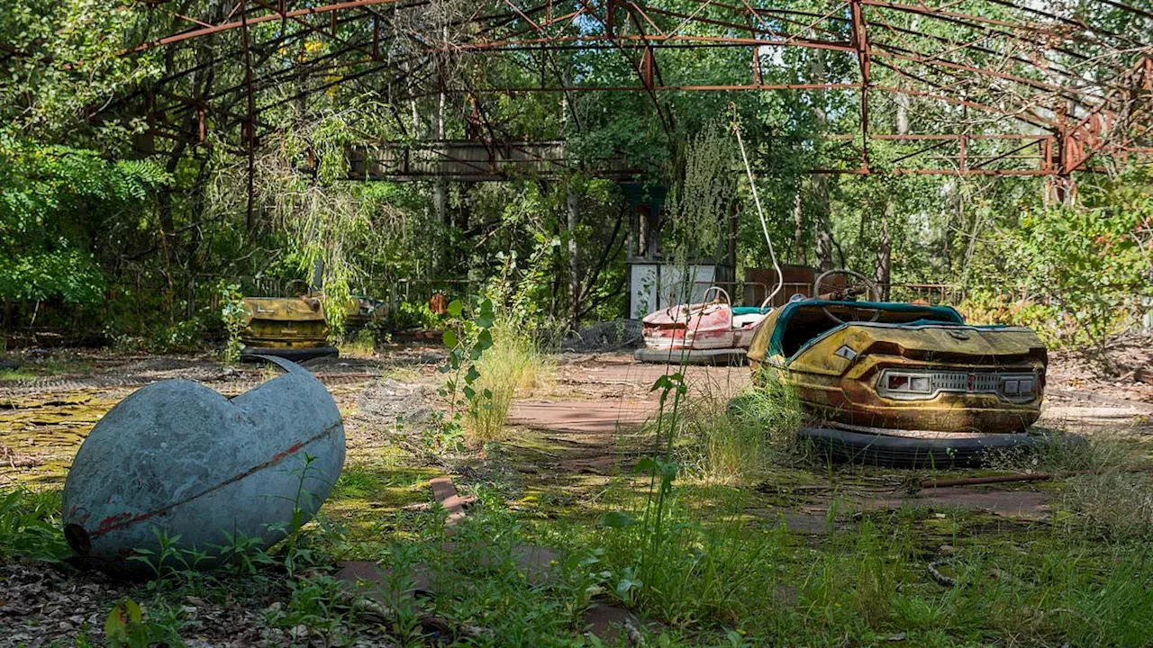 Nature’s Slow Conquest: The Rise of the World’s Abandoned "Living Museums"