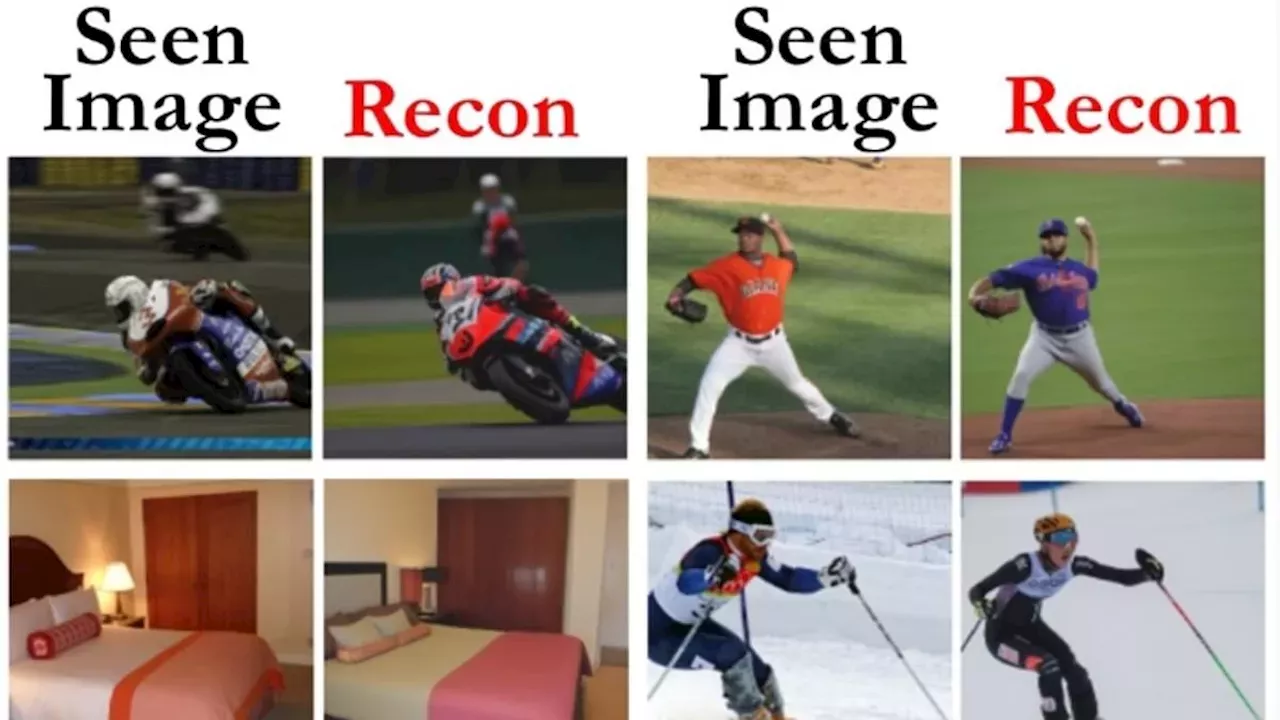 Brain-IT: The One-Hour Leap in Visual Mind-Reading Technology