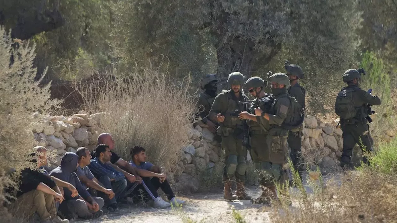 West Bank Escalation: Eight Palestinians Injured in Surge of Settler and Military Attacks