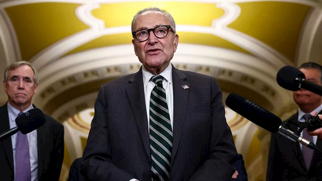Schumer's Blue Wave Gamble: Can Momentum Overcome a Brand Crisis?
