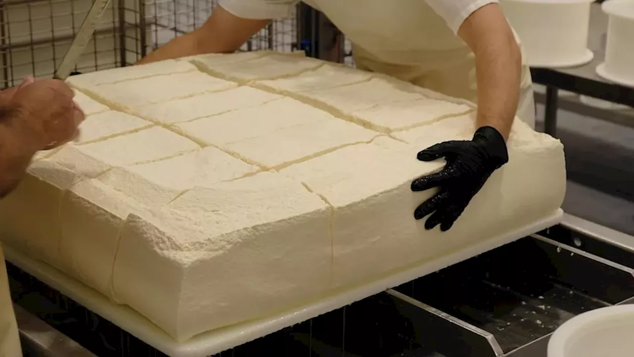 The Cost of Rhetoric: How Trade Tensions Wiped Out Vermont's Canadian Cheese Market