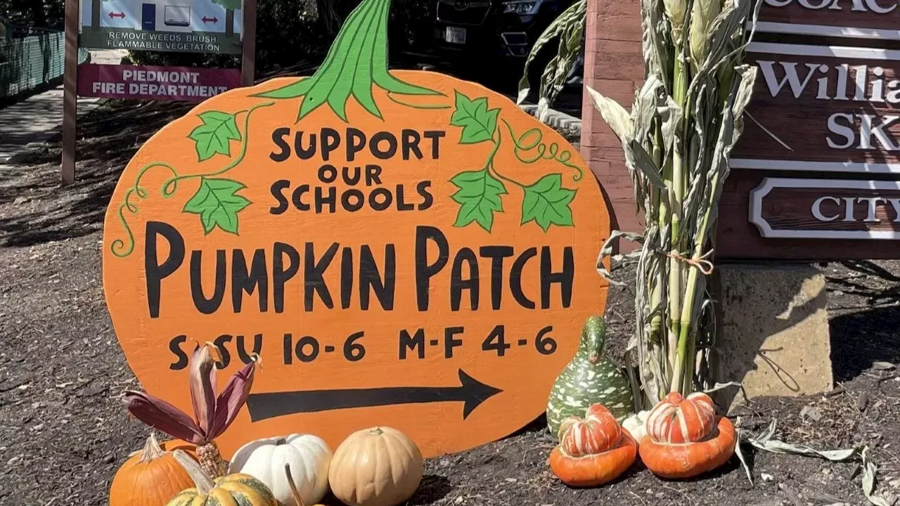Beyond the Gourd: How Piedmont’s Wildwood Dads’ Club is Scaling Local School Support