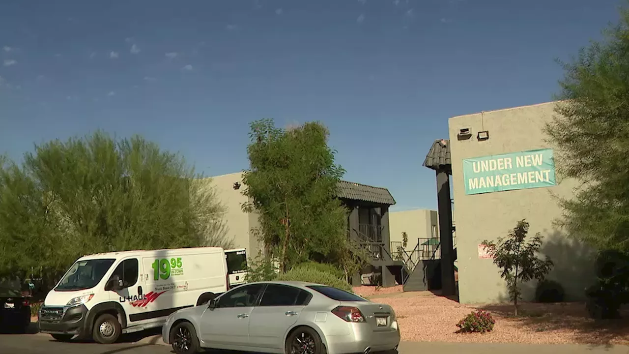 The Glendale Rent Crisis: Shadows at Buenas Apartments