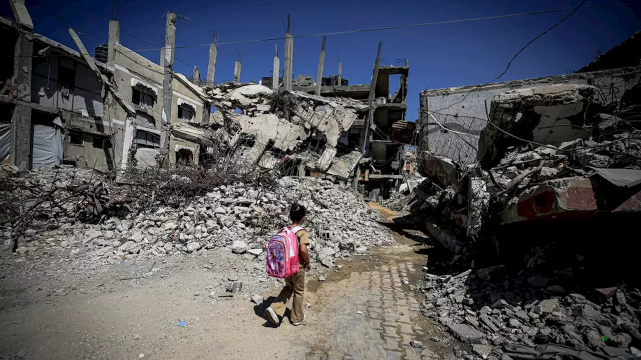 Resilience as Accusation: Rima Hassan’s Critique of the Gaza Narrative