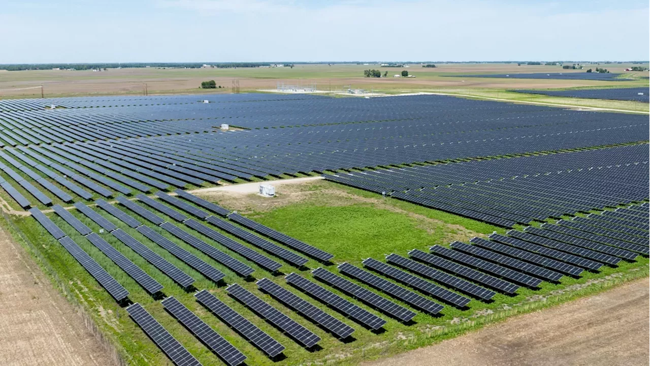 The Solar Sanctuary: How 29 Acres in Illinois are Protecting Endangered Species