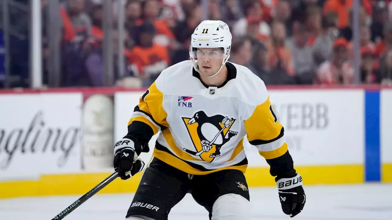 Edmonton Oilers Acquire Filip Hallander from Pittsburgh Penguins to Address Injury Crisis