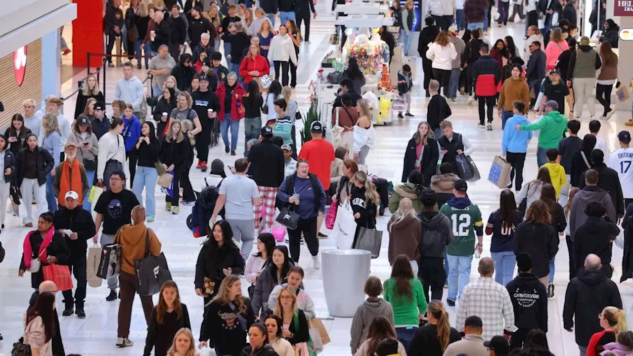 Mall of America Terror Plot: The Digital Radicalization of an 18-Year-Old