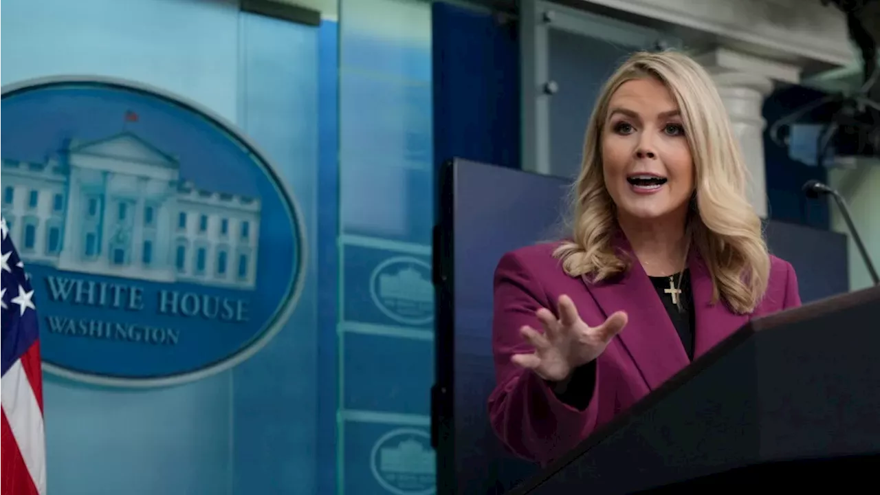 Former White House Press Secretary Karoline Leavitt Joins Fox News as Contributor