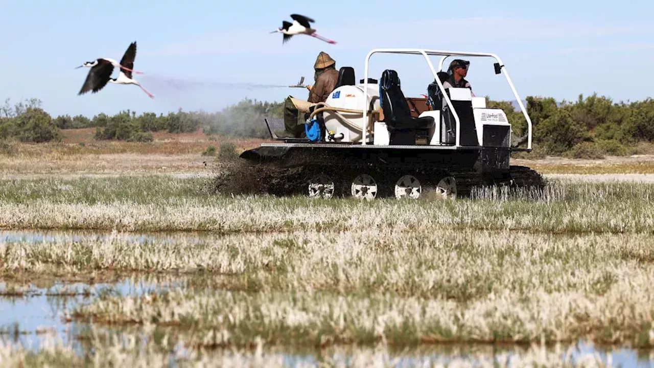 The Zero-Dollar Deal: Salt Lake City's Battle Over Airport Wetlands