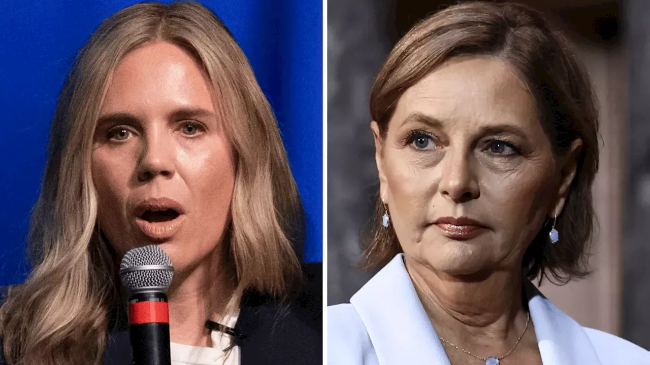 The $5 Million Defense: Can Annie Andrews Break South Carolina's Republican Streak?