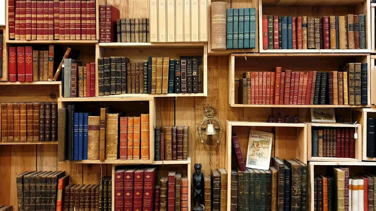 The Great American Library Purge: 23,000 Books and the Fight for Student Empathy