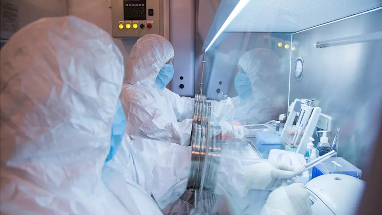 WHO Demands Clarity After Suspected Plague Death in Russia