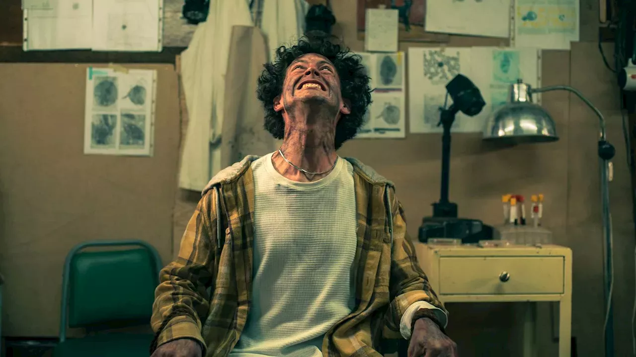 Beyond the Blockbusters: How a Mexican Zombie Comedy Conquered Prime Video