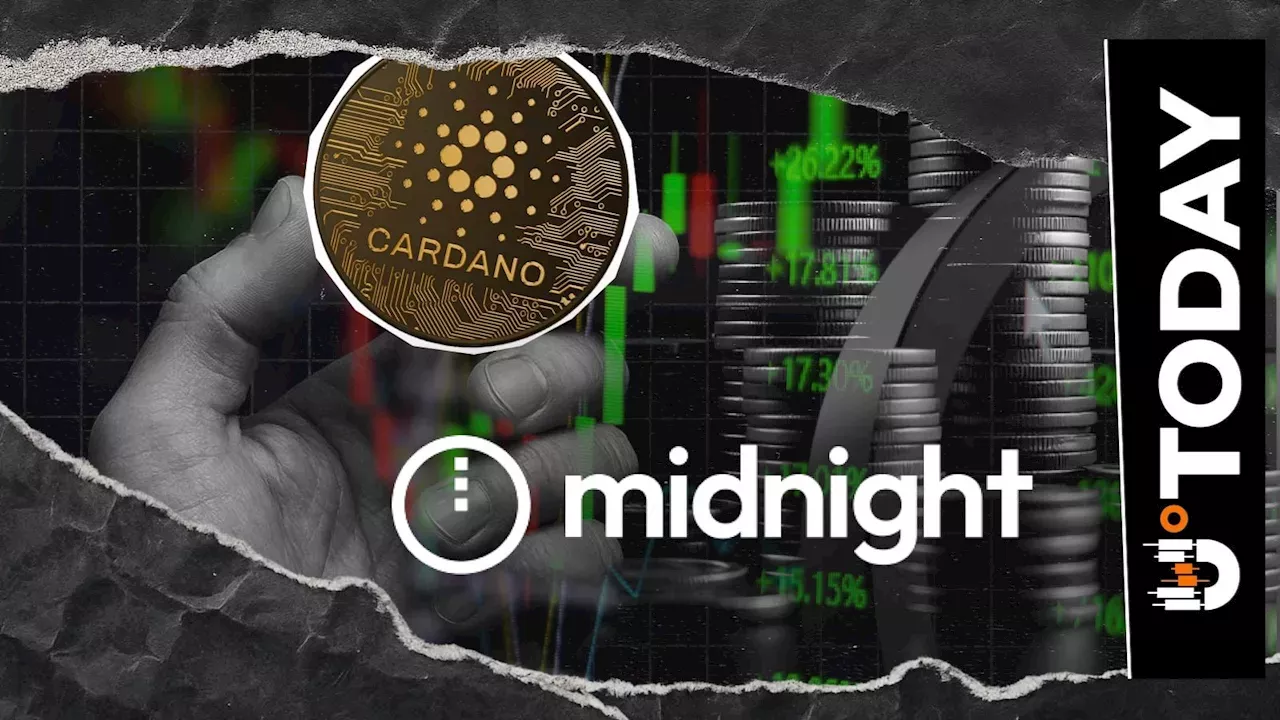Midnight's 9,100% Transaction Surge: The Impact of Permissionless Smart Contracts
