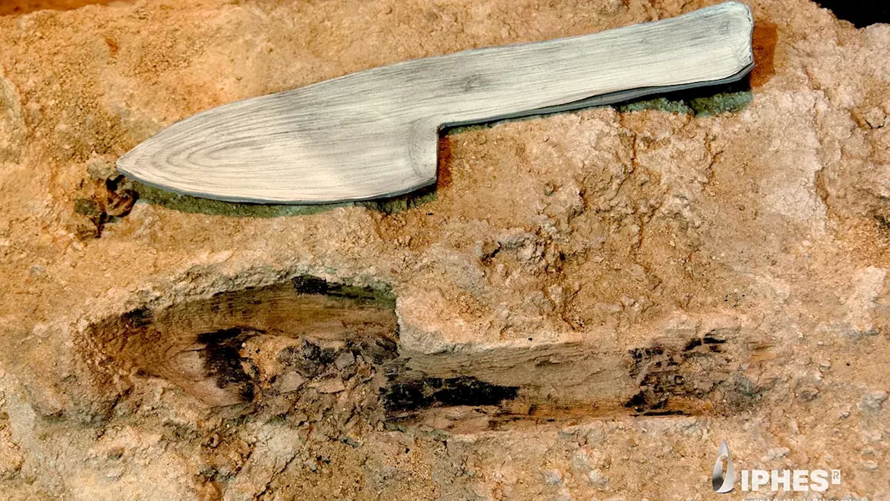 Beyond Stone: The Neanderthal Carpenters of Abric Romaní