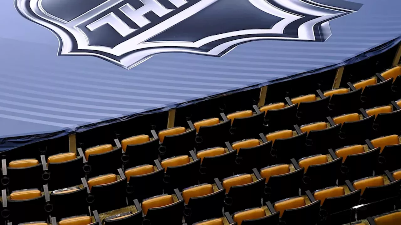 NHL Pulls "Hot for Hockey" Audio Series Following Fan Backlash