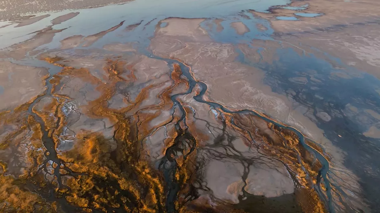 Beyond Commodity: The Fight to Restore Indigenous Stewardship of Utah's Great Salt Lake